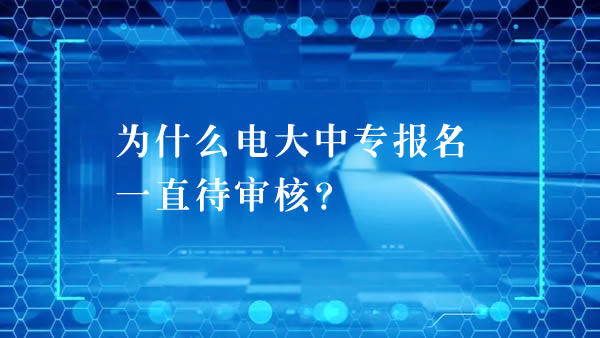 為什么電大中專報名一直待審核？